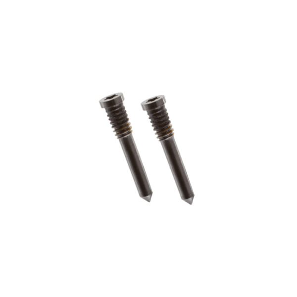 iPhone 13 Pro Bottom Screws Sierra Blue (2 pcs)