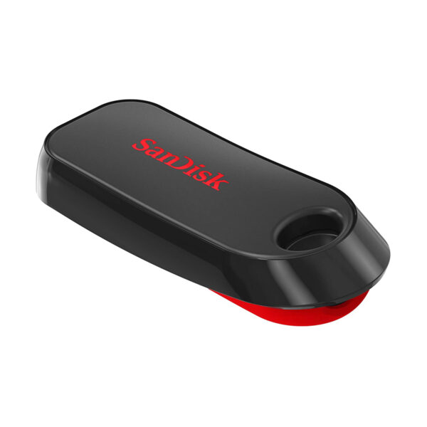 SanDisk Cruzer Snap 64GB Flash Drive