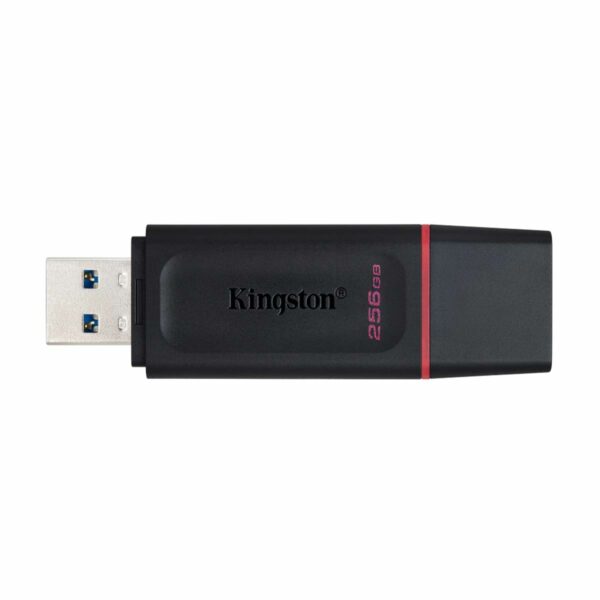 Kingston DataTraveler Exodia 256GB USB 3.2 Flash Drive