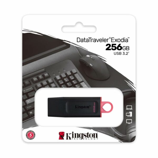 Kingston DataTraveler Exodia 256GB USB 3.2 Flash Drive